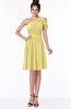 ColsBM Aiyana Misted Yellow Elegant One Shoulder Sleeveless Zip up Chiffon Ruching Bridesmaid Dresses