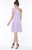 ColsBM Aiyana Pastel Lilac Elegant One Shoulder Sleeveless Zip up Chiffon Ruching Bridesmaid Dresses