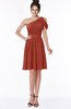 ColsBM Aiyana Rust Elegant One Shoulder Sleeveless Zip up Chiffon Ruching Bridesmaid Dresses