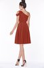 ColsBM Aiyana Rust Elegant One Shoulder Sleeveless Zip up Chiffon Ruching Bridesmaid Dresses