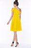 ColsBM Aiyana Yellow Elegant One Shoulder Sleeveless Zip up Chiffon Ruching Bridesmaid Dresses