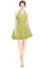 ColsBM Amaris Linden Green Luxury Fit-n-Flare V-neck Knee Length Ruching Bridesmaid Dresses