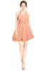 ColsBM Amaris Salmon Luxury Fit-n-Flare V-neck Knee Length Ruching Bridesmaid Dresses