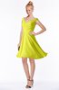 ColsBM Chloe Sulphur Spring Classic Fit-n-Flare Zip up Chiffon Knee Length Ruching Bridesmaid Dresses