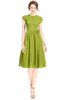 ColsBM Jane Green Oasis Mature Fit-n-Flare High Neck Zip up Chiffon Bridesmaid Dresses