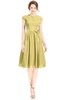 ColsBM Jane Misted Yellow Mature Fit-n-Flare High Neck Zip up Chiffon Bridesmaid Dresses