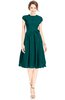 ColsBM Jane Shaded Spruce Mature Fit-n-Flare High Neck Zip up Chiffon Bridesmaid Dresses