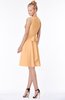 ColsBM Rivka Apricot Glamorous Fit-n-Flare V-neck Zip up Chiffon Knee Length Bridesmaid Dresses