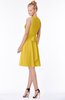 ColsBM Rivka Lemon Curry Glamorous Fit-n-Flare V-neck Zip up Chiffon Knee Length Bridesmaid Dresses