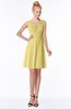 ColsBM Rivka Misted Yellow Glamorous Fit-n-Flare V-neck Zip up Chiffon Knee Length Bridesmaid Dresses