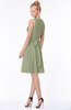ColsBM Rivka Moss Green Glamorous Fit-n-Flare V-neck Zip up Chiffon Knee Length Bridesmaid Dresses