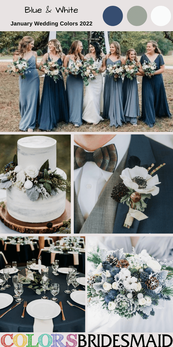 January Wedding Colors 2022 Blue and White