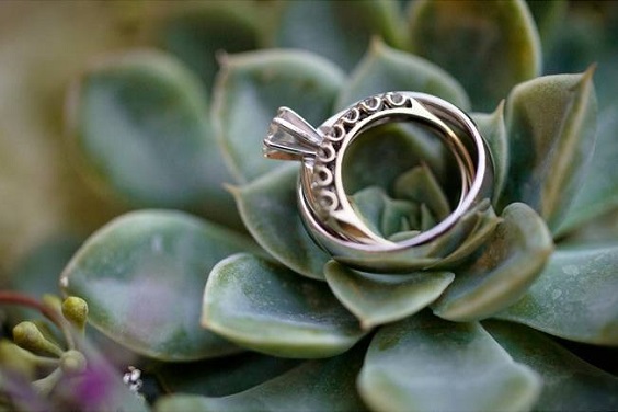 ring on sage greenery for sage green wedding colors 2023 sage green and lavender