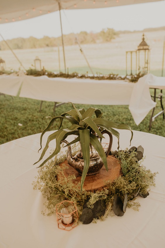 sage shade plants on a wood stump centerpieces for country wedding colors for 2025 sage green and white
