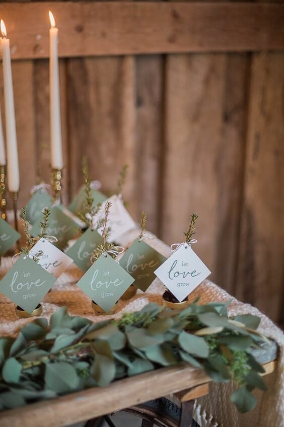 decorations for summer sage green and white wedding