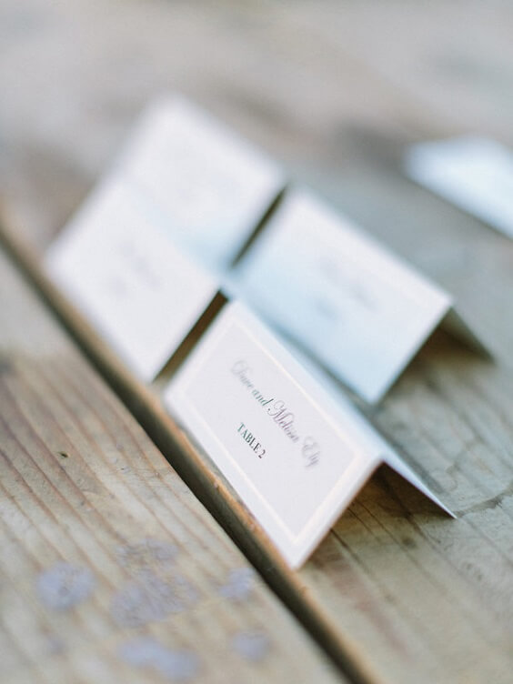 name cards for spring ice blue wedding