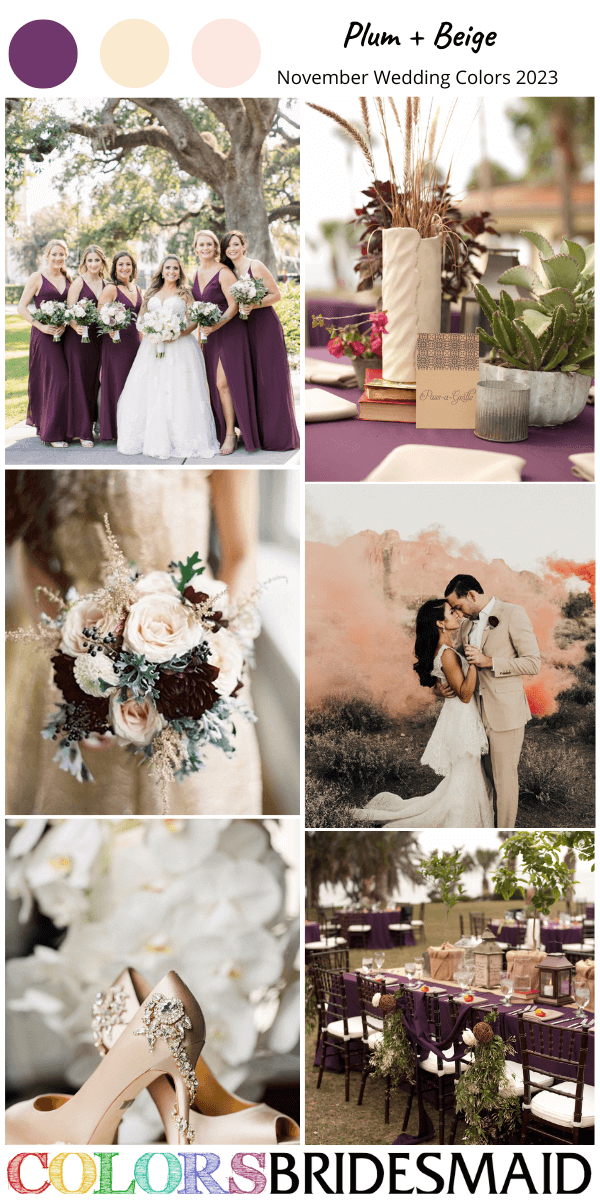 top 8 November wedding color Palettes for 2023 plum and beige