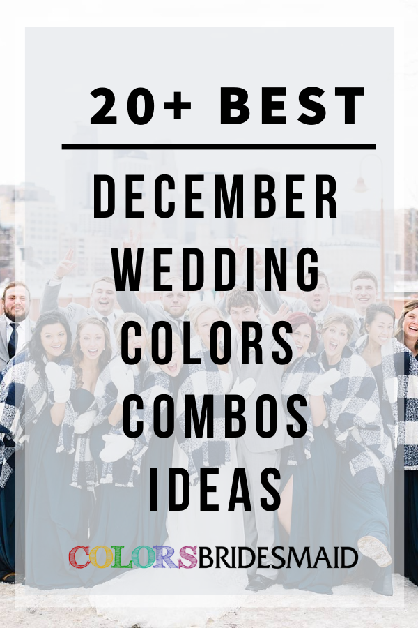 20+ Best December Wedding Colors Combos Ideas