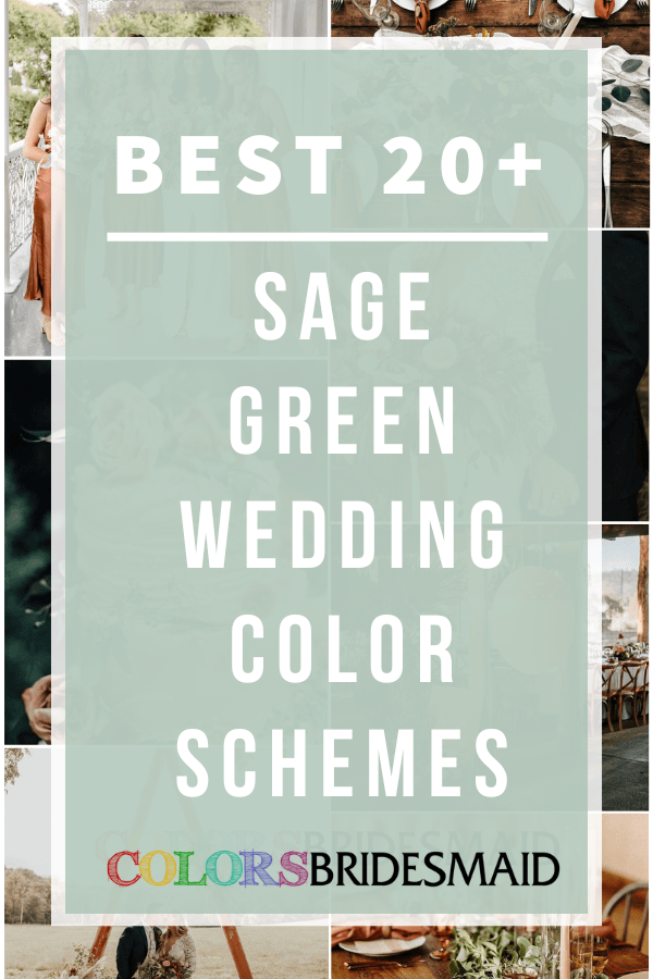 Best 20+ Sage Green Wedding Color Schemes